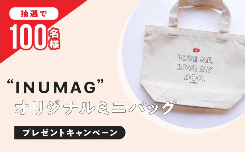 【終了】『INUMAG』オープン記念！オリジナルミニバッグ100名様プレゼントキャンペーン