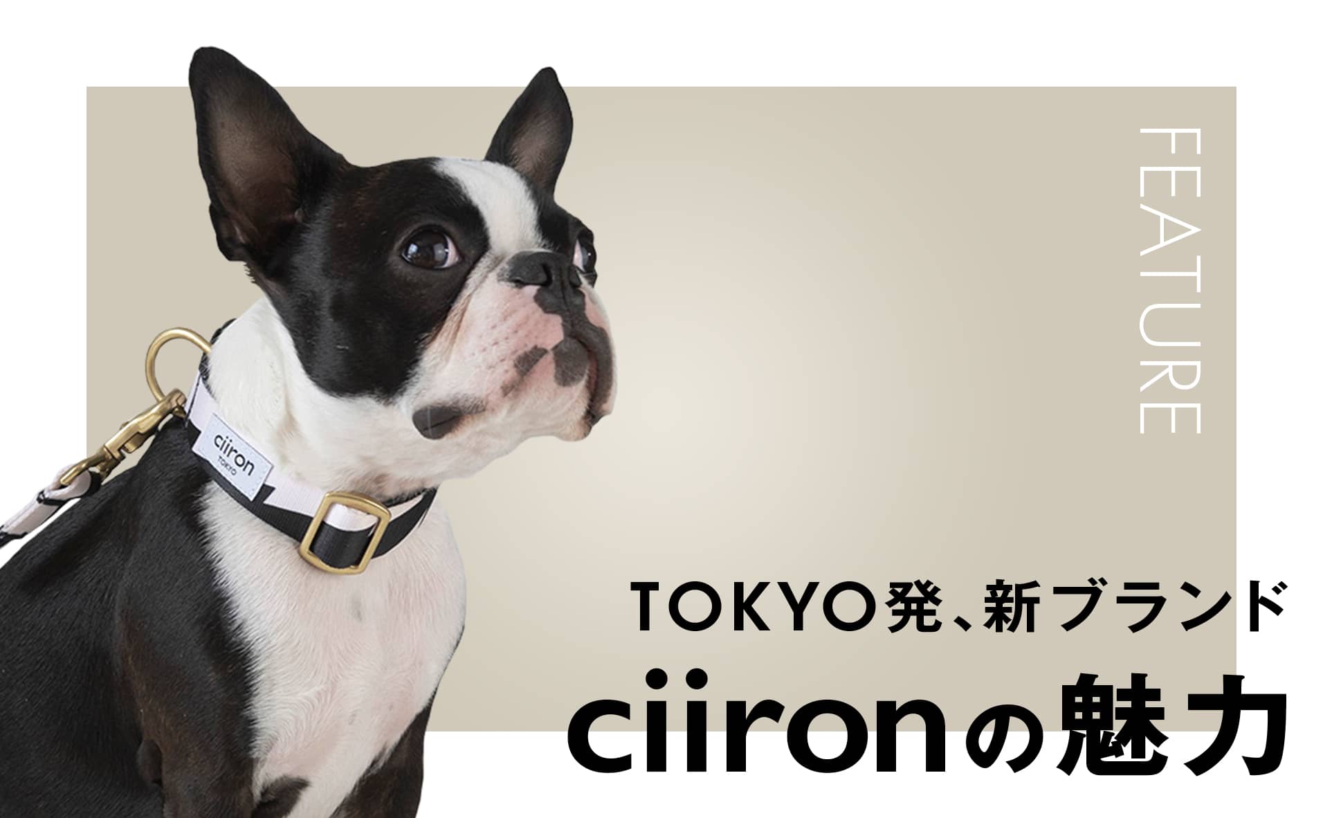 【特集】TOKYO発、新ブランド『ciiron』の魅力｜愛犬との毎日に彩りを