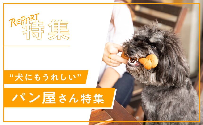 【関東】犬OK！だけじゃない“犬にもうれしい”パン屋さん特集