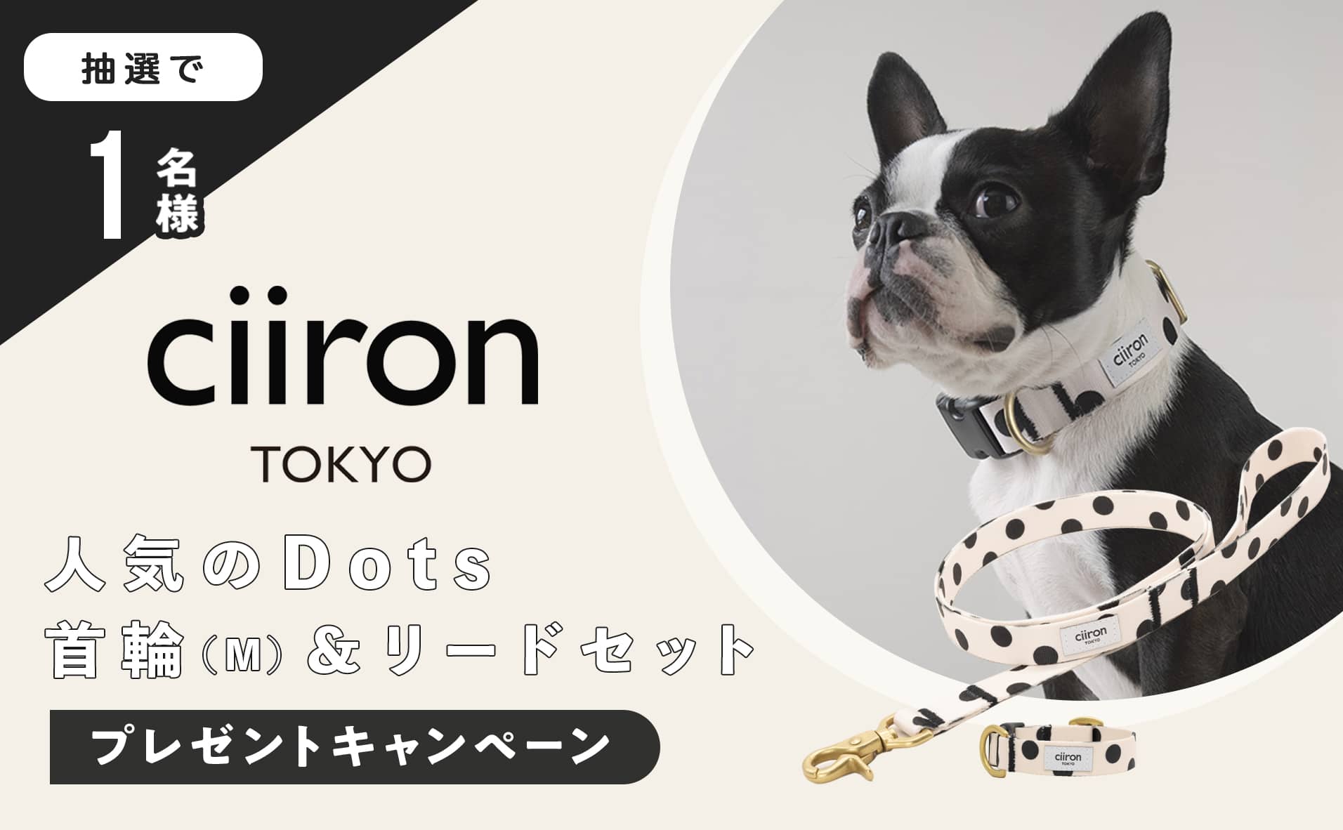 【終了】インスタフォローで『ciiron TOKYO』の首輪&リードセットをプレゼント！｜『INUMAG』プレゼントキャンペーン