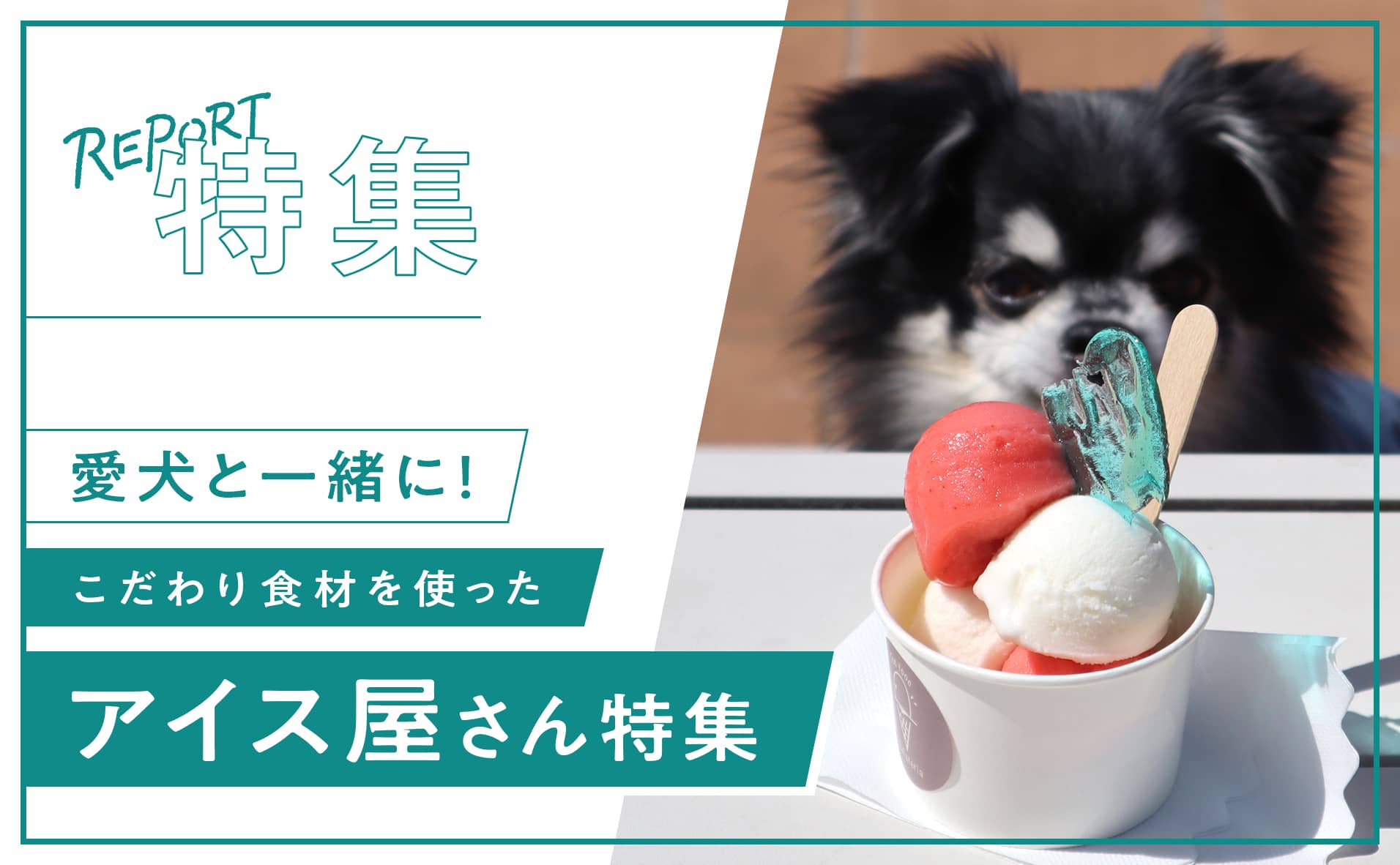 【湘南】犬と一緒に行けるこだわり食材を使ったアイス屋さん特集