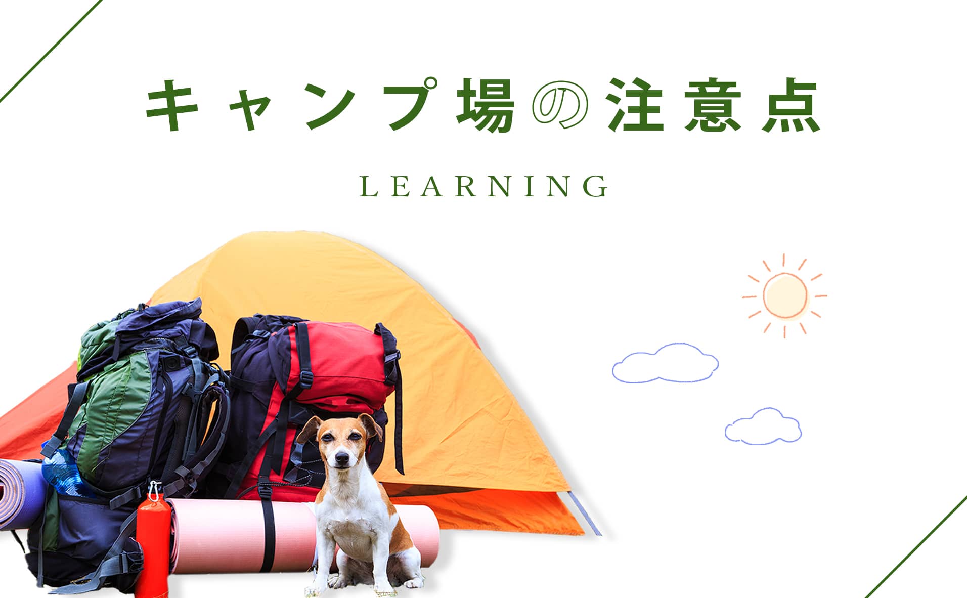 愛犬との初めてのキャンプを楽しもう！ 注意点や持ち物、楽しみ方などを紹介