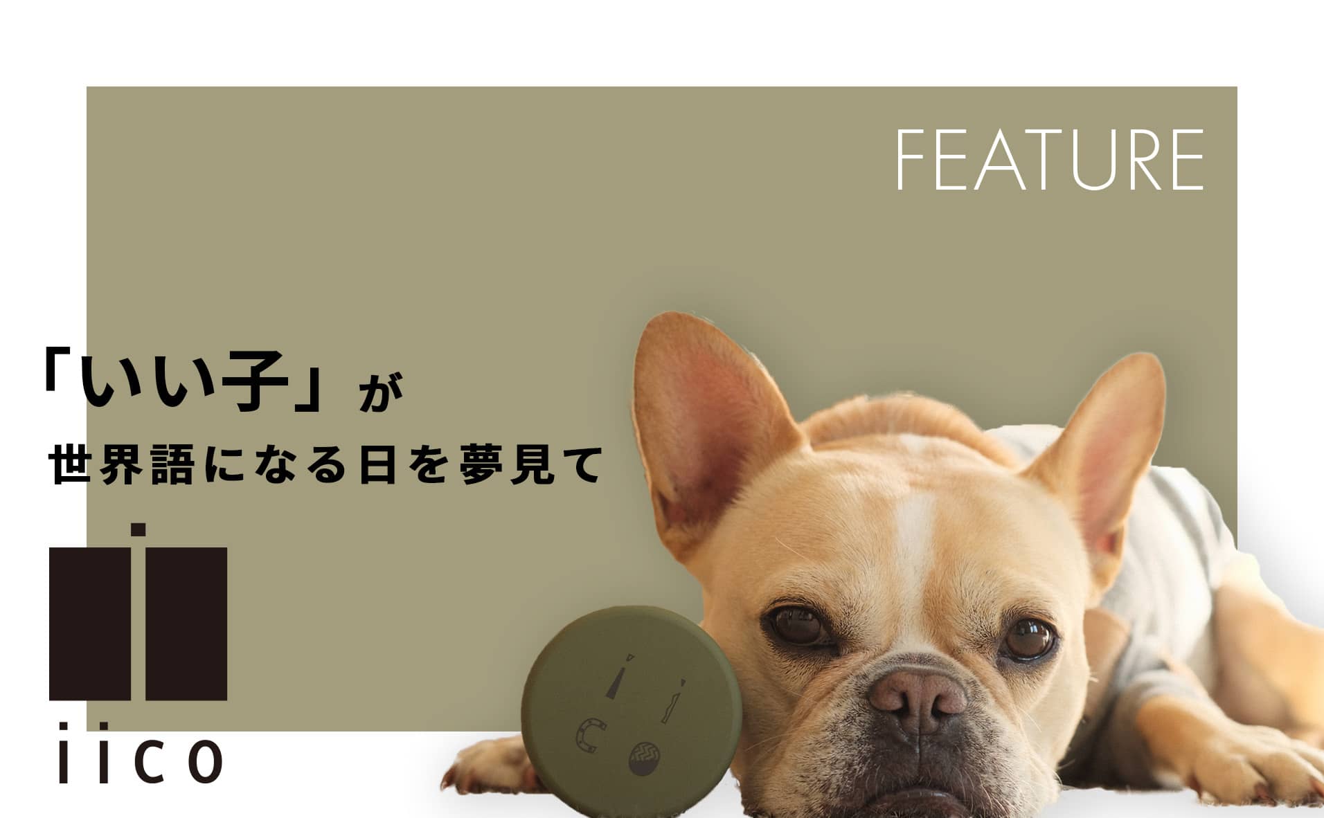【特集】犬のギフトショップ『iico』の無添加おやつ！「いい子」が世界語になる日を夢見て