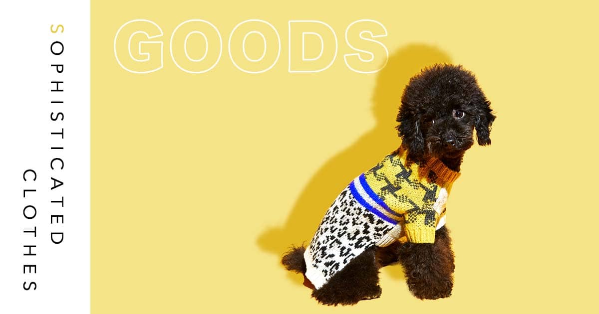 おしゃれさん必見！小型犬のためのアパレルブランドおすすめ5選｜INUMAG（イヌマグ）