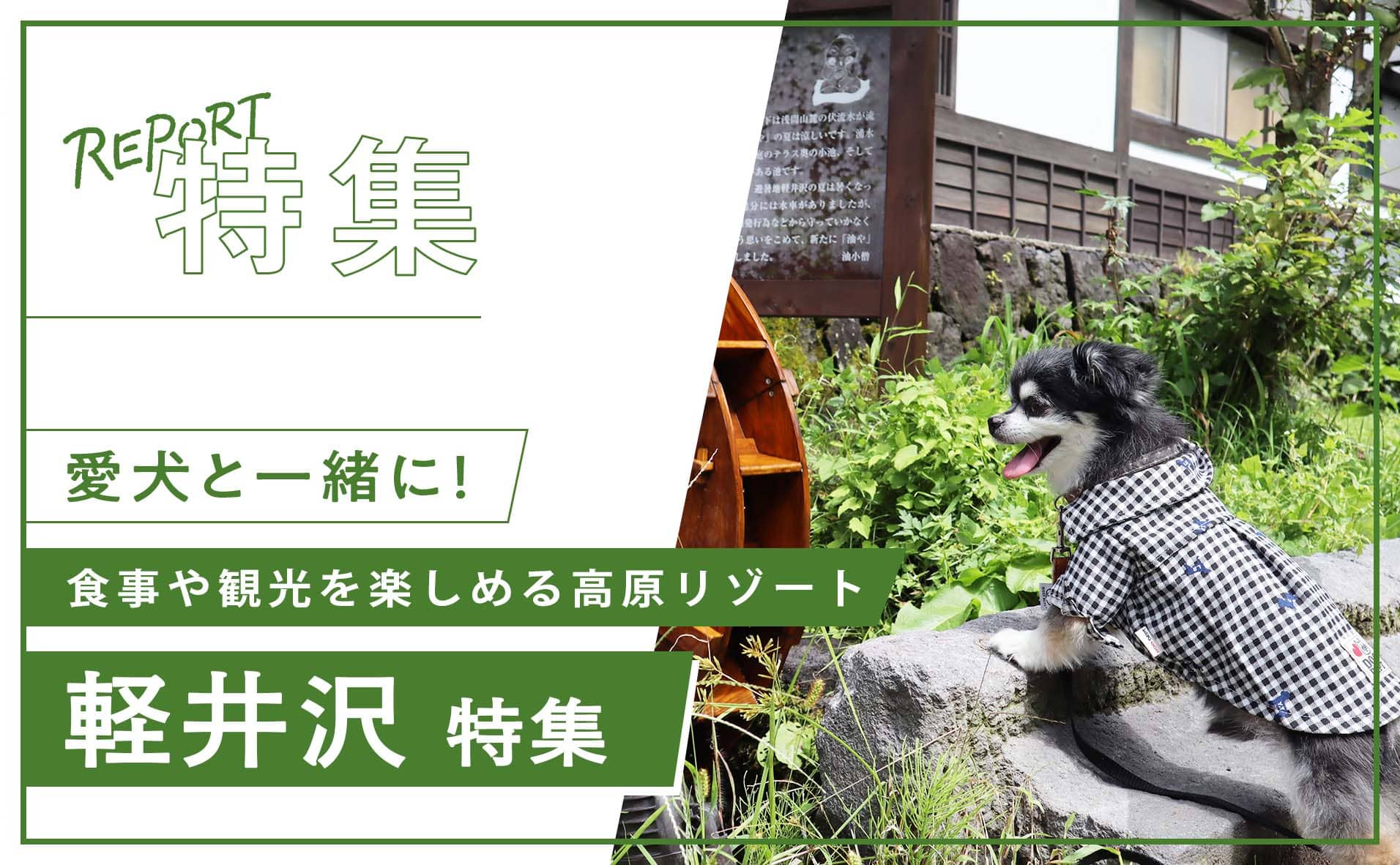 【軽井沢】犬連れで食事や観光を楽しめる軽井沢おすすめスポットを紹介