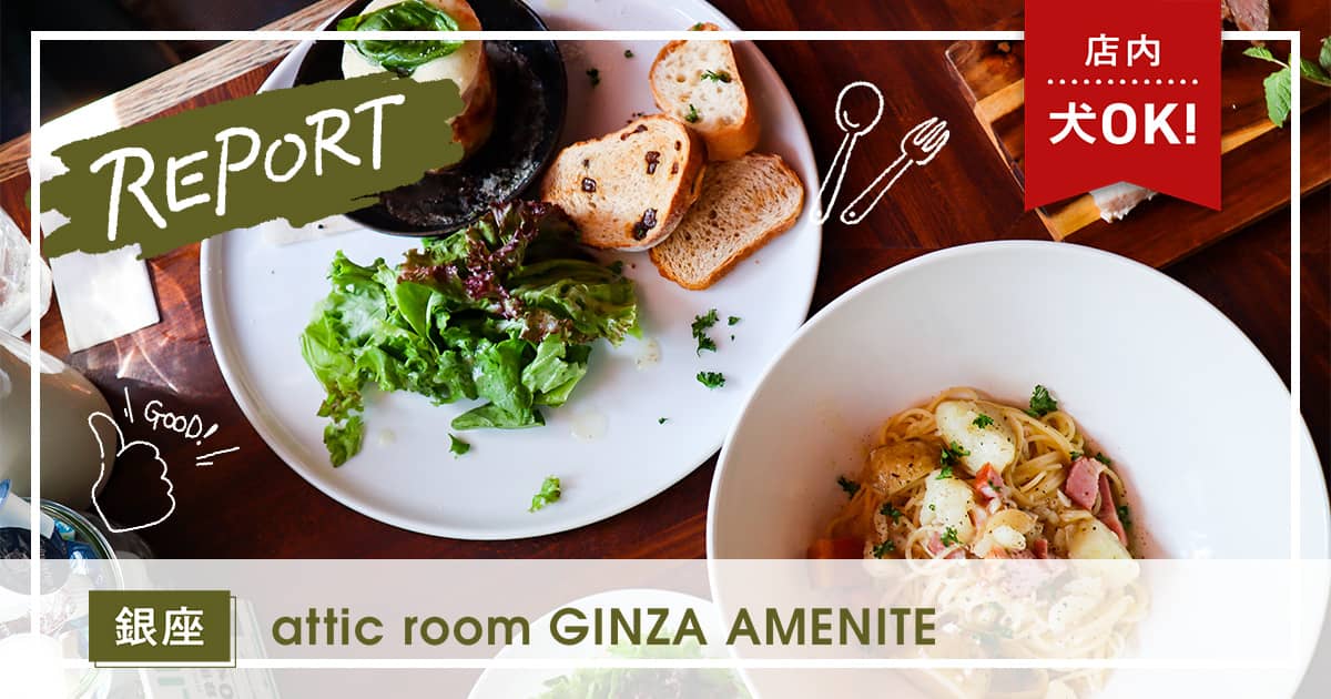 【銀座】犬店内OK！屋根裏カフェ『attic room GINZA AMENITE』｜INUMAG（イヌマグ）