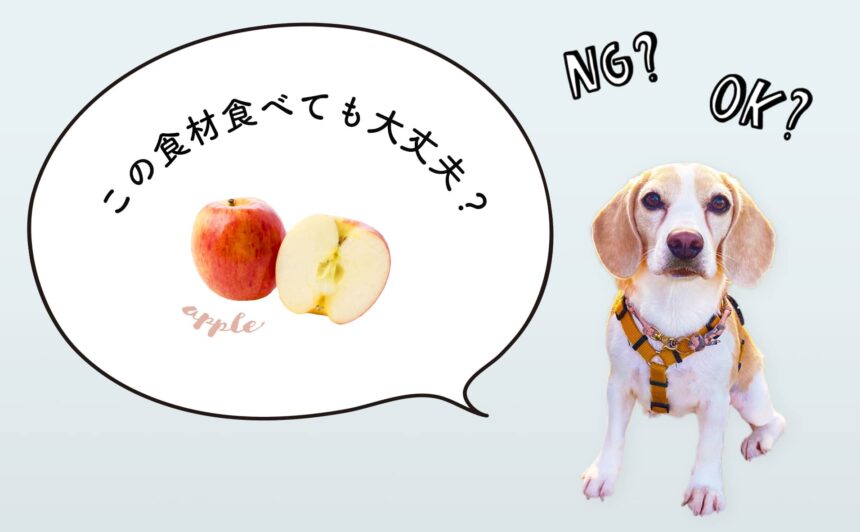 犬はりんごを食べても大丈夫！犬の食事をペットフーディストが解説