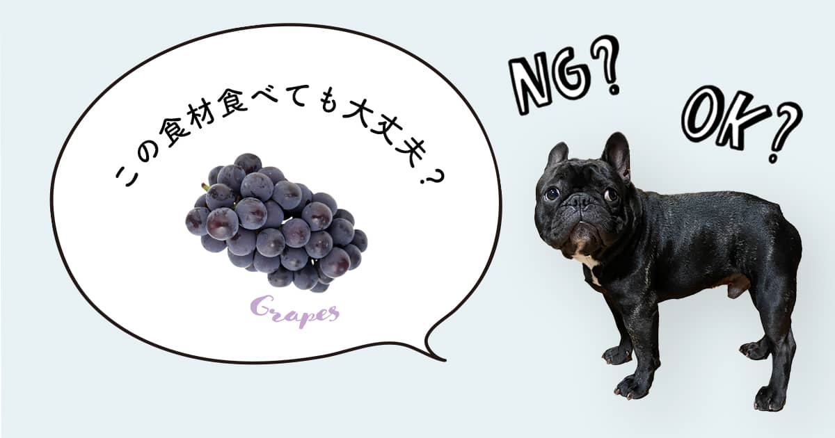 犬はぶどうを食べたらダメ 犬の食事をペットフーディストが解説 Inumag イヌマグ