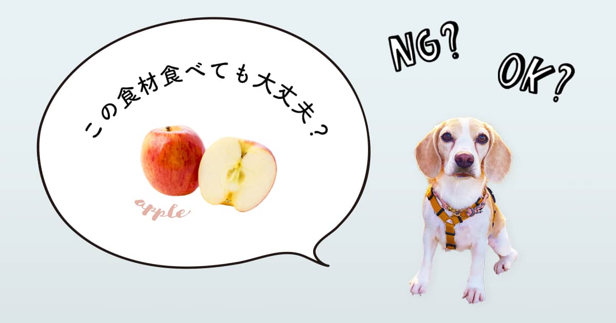 犬はりんごを食べても大丈夫 犬の食事をペットフーディストが解説 Inumag イヌマグ