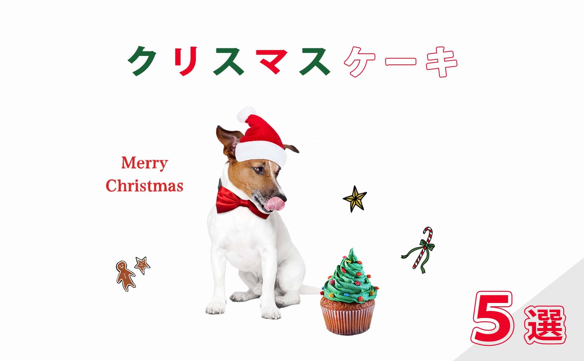 愛犬もクリスマスには犬用ケーキで楽しもう｜無添加で砂糖不使用のおすすめケーキ5選