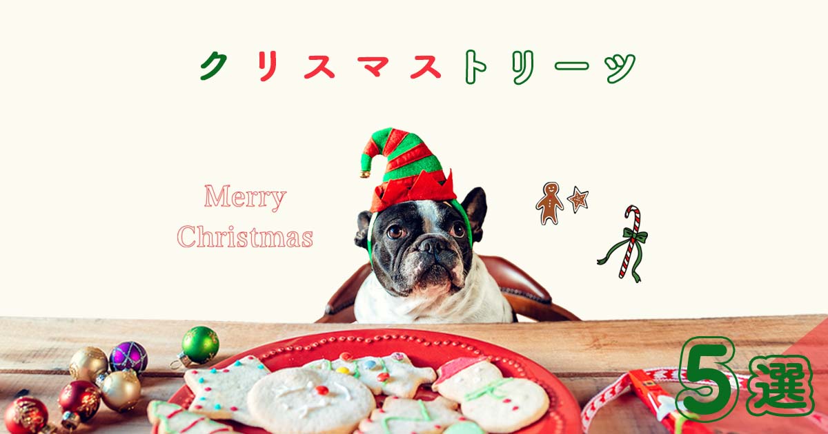 クリスマスプレゼントにピッタリ！犬用無添加おやつ5選｜INUMAG（イヌマグ）