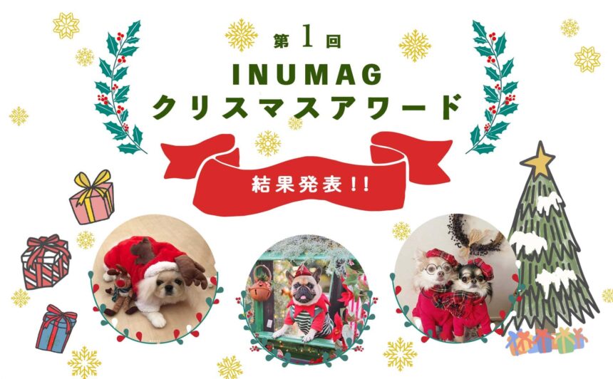 第1回INUMAGクリスマスアワード発表！