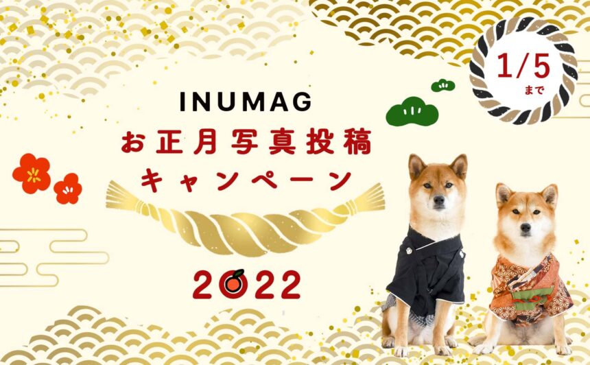 第1回INUMAGお正月写真投稿キャンペーン