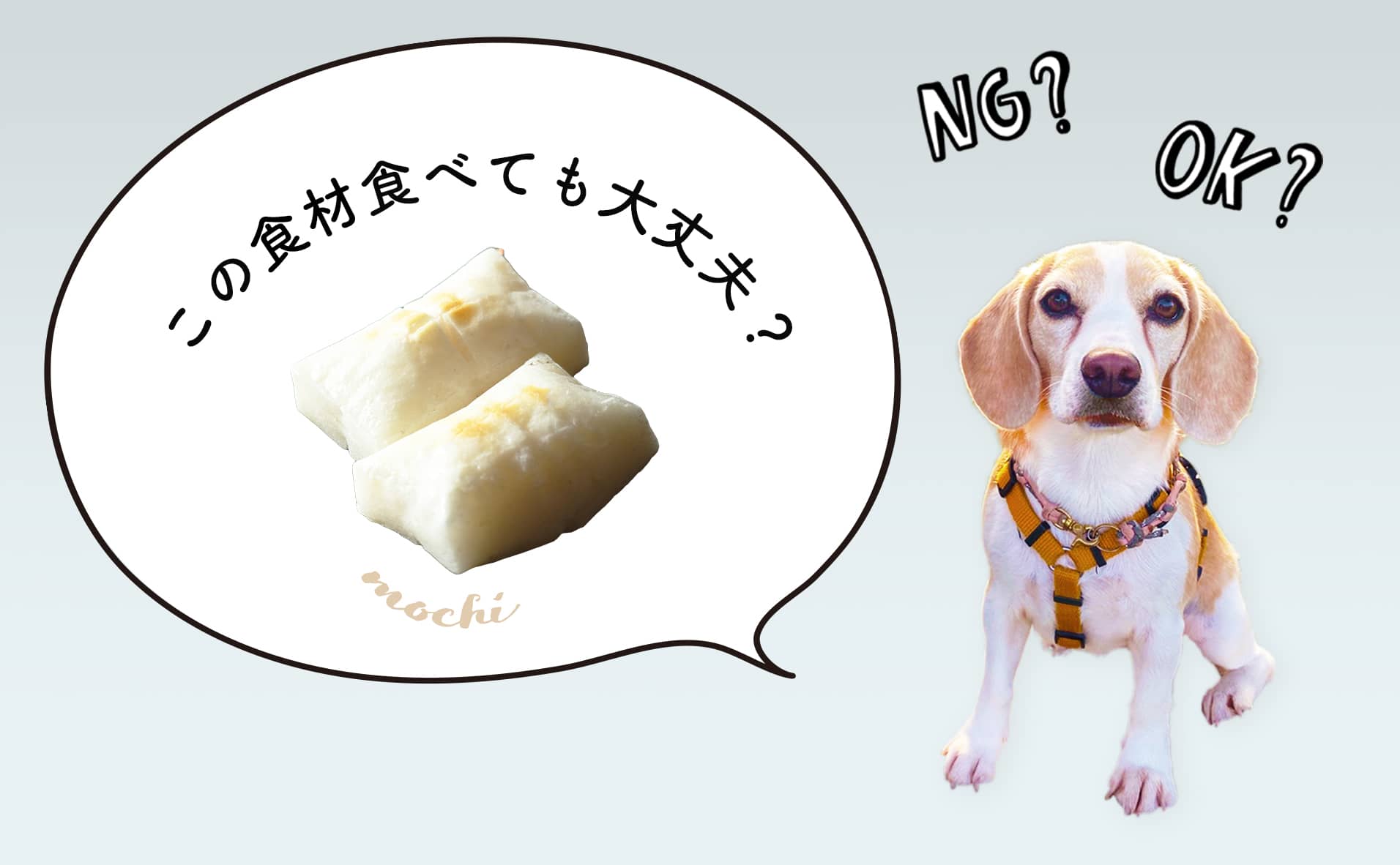 犬はお餅を食べても大丈夫 もっと知りたい犬の食事をペットフーディストが解説 Inumag イヌマグ