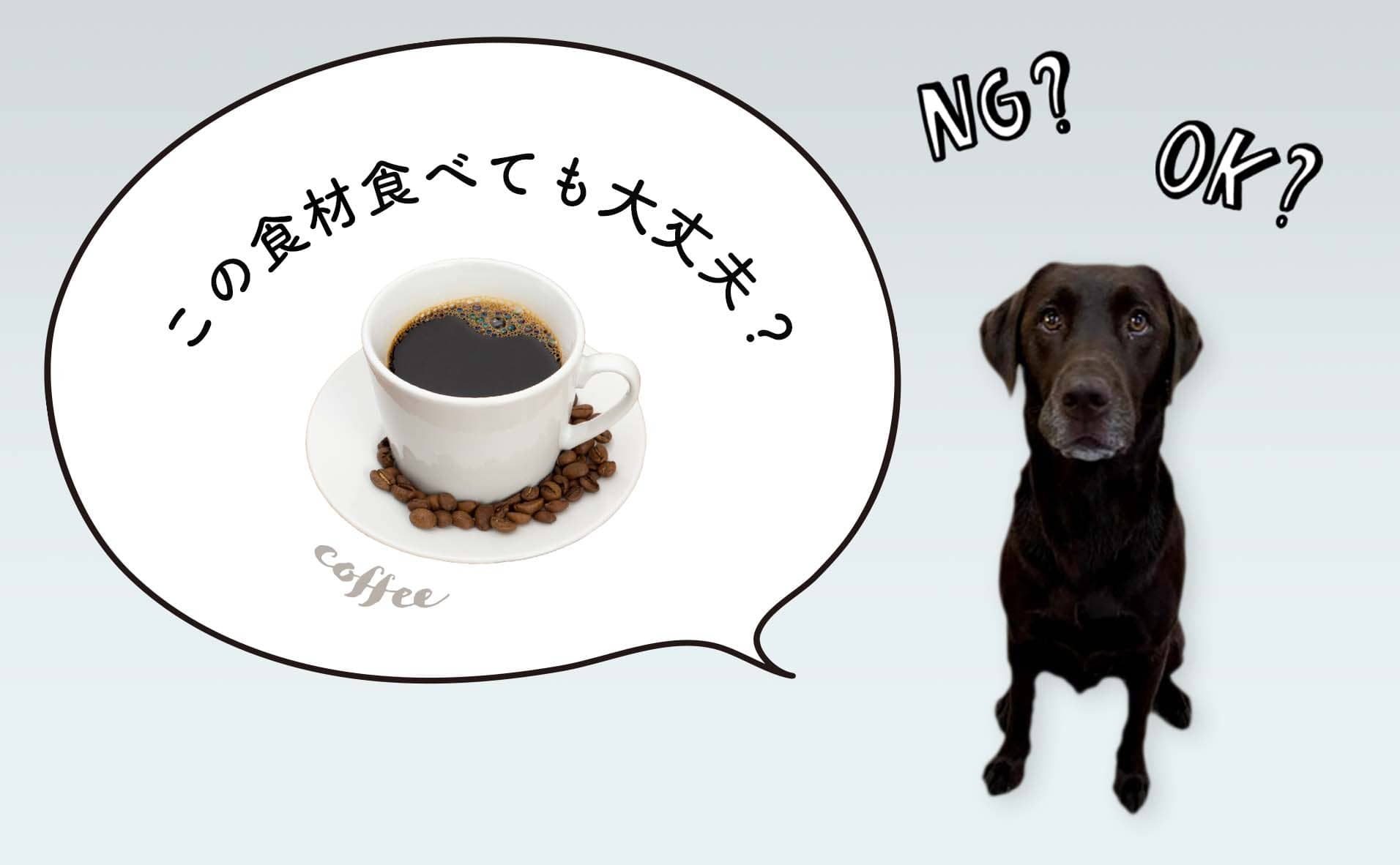 犬はコーヒーを飲んだらダメ！犬の食事をペットフーディストが解説