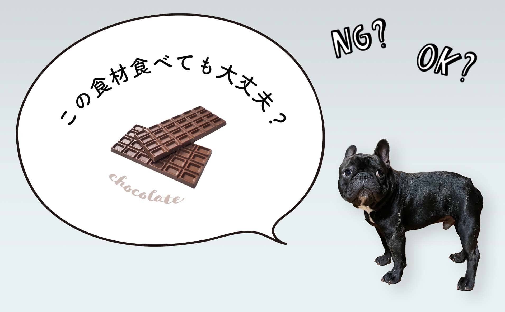 犬がチョコレートを食べたらダメ！犬の食事をペットフーディストが解説