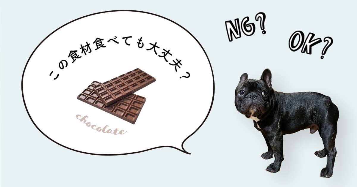 犬がチョコレートを食べたらダメ 犬の食事をペットフーディストが解説 Inumag イヌマグ