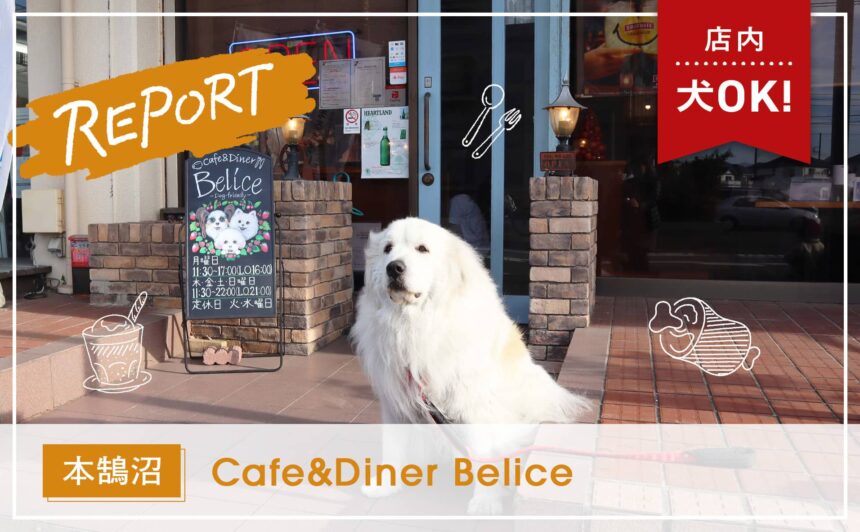 【本鵠沼】湘南で大型犬も店内OKなドッグカフェ 『Cafe&Diner Belice』