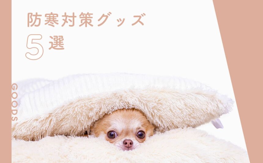 寒さから愛犬を守るためのおすすめ防寒対策グッズ5選