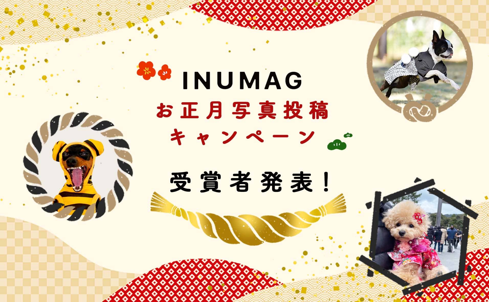 第1回INUMAGお正月写真投稿キャンペーン受賞者発表！