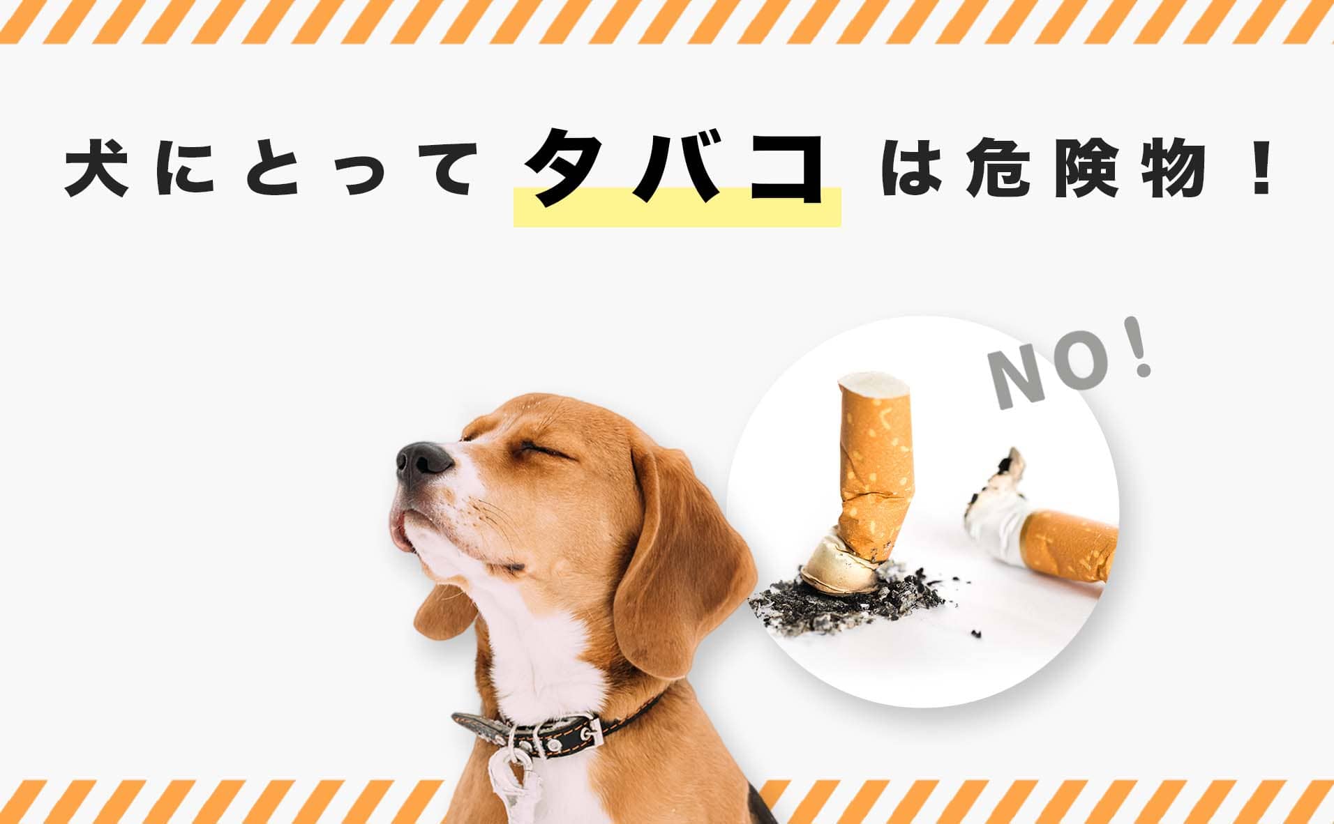 犬にとってタバコは危険物！吸い殻を誤飲した時の対処法や影響について