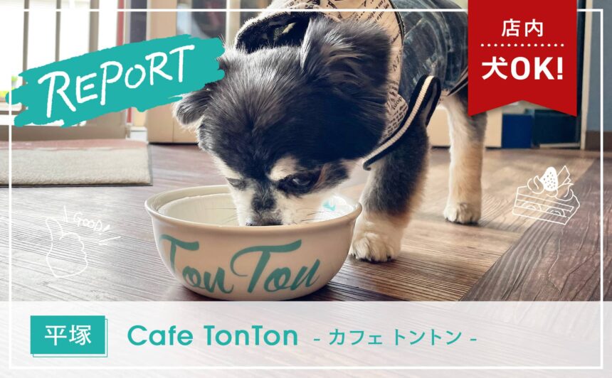 【平塚】平塚漁港近くの大型犬もウェルカムなドッグカフェ『Cafe TonTon』