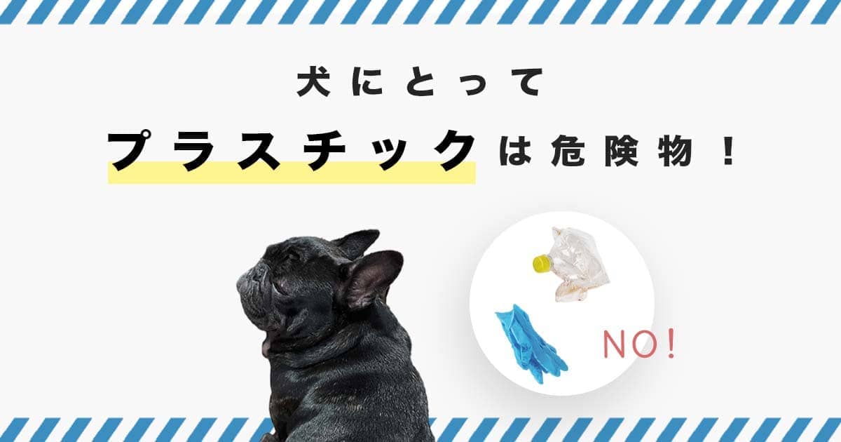 犬がプラスチックを誤飲してしまったら 対処法や症状など Inumag イヌマグ