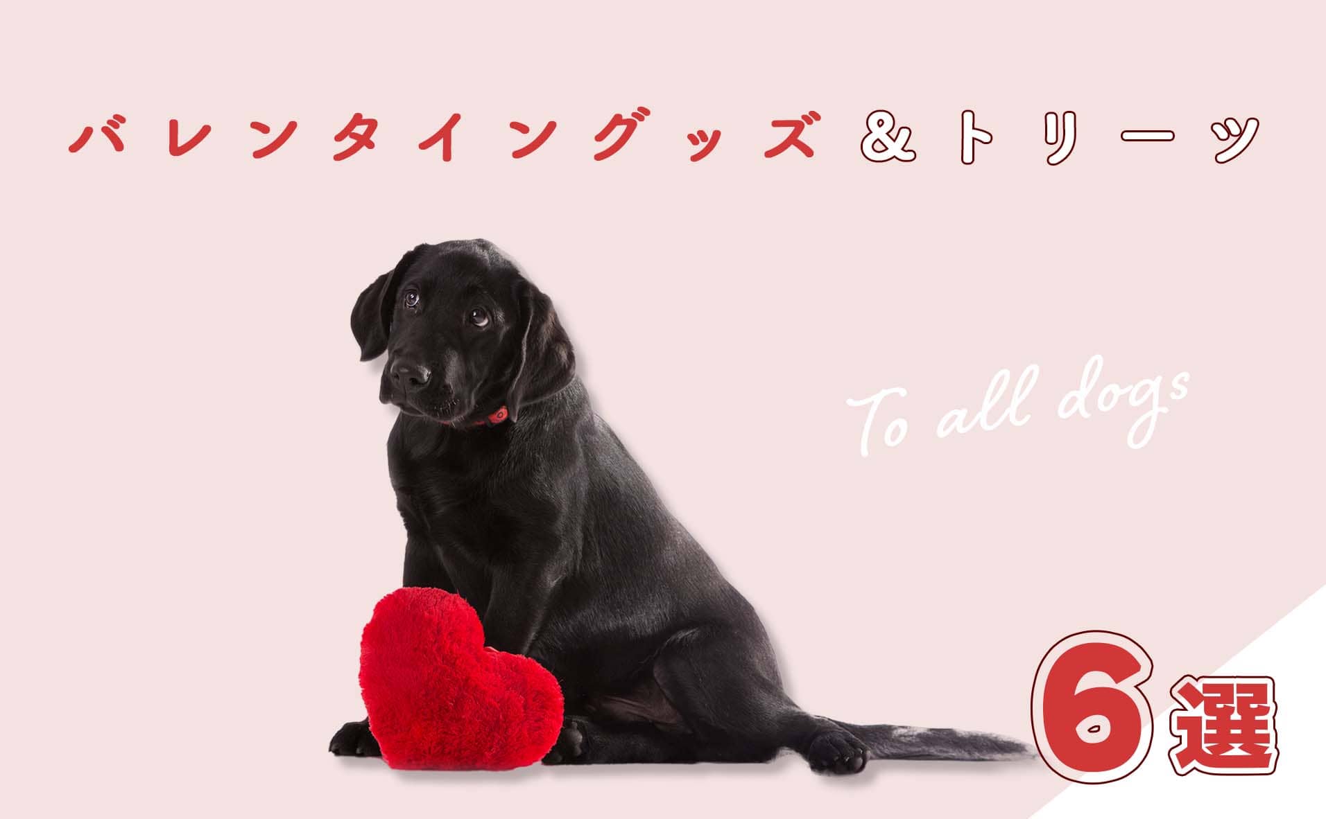犬のためのバレンタイングッズ｜愛情のこもったトリーツ&ドッグトイ6選