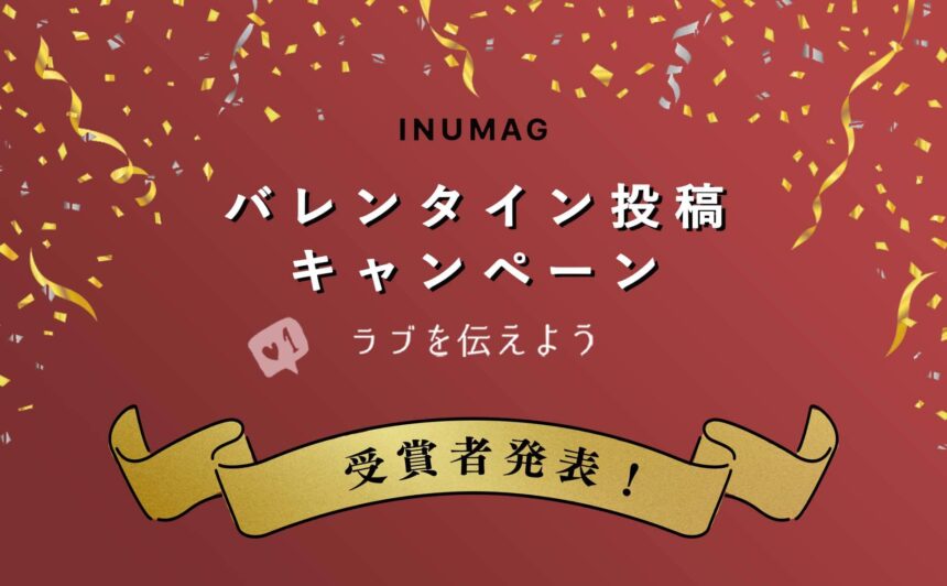 第1回INUMAGバレンタイン写真投稿キャンペーン受賞者発表！