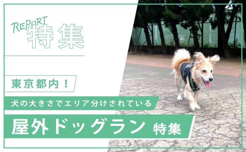 【東京都内】犬の大きさでエリア分けされている屋外ドッグラン！おすすめ5選