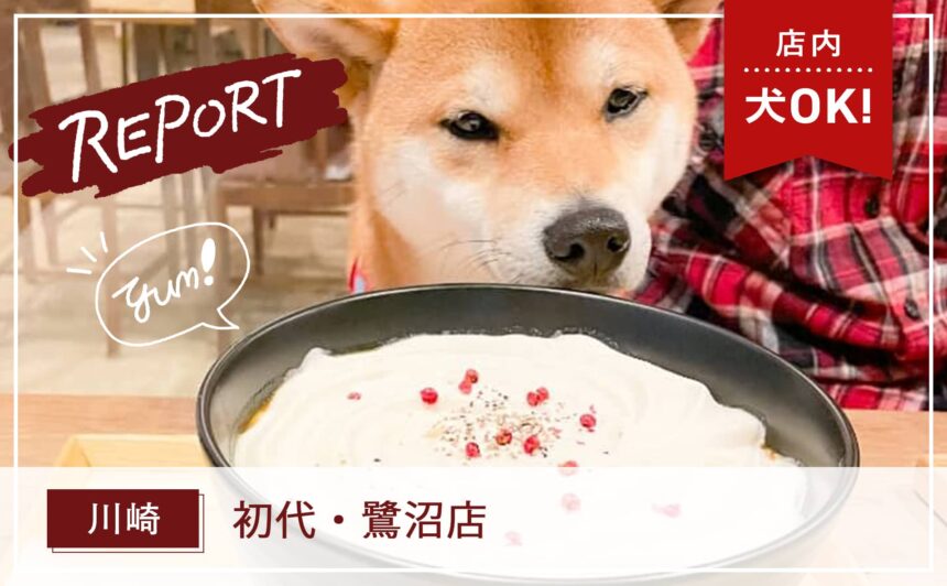 【川崎】店内犬同伴OK！「白いカレーうどん」が食べられるカフェ『初代・鷺沼店』