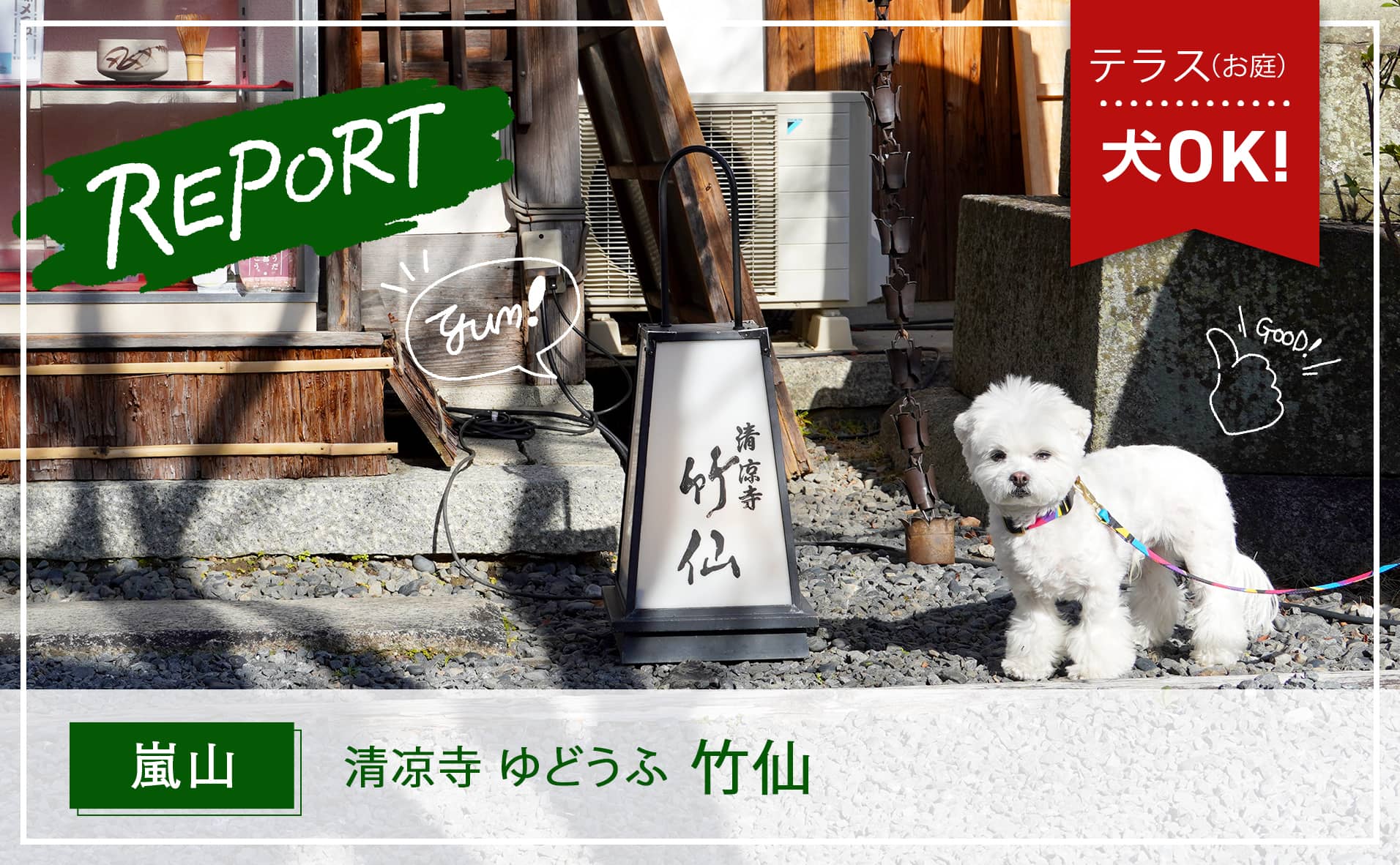 【嵐山】京都「清凉寺」寺院内で犬とおいしい京料理・湯豆腐が味わえる『竹仙』