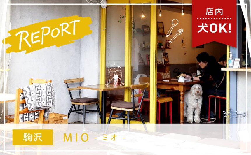 【駒沢】駒沢公園から徒歩1分！店内に犬も同伴できる本格イタリアン料理店『MIO』