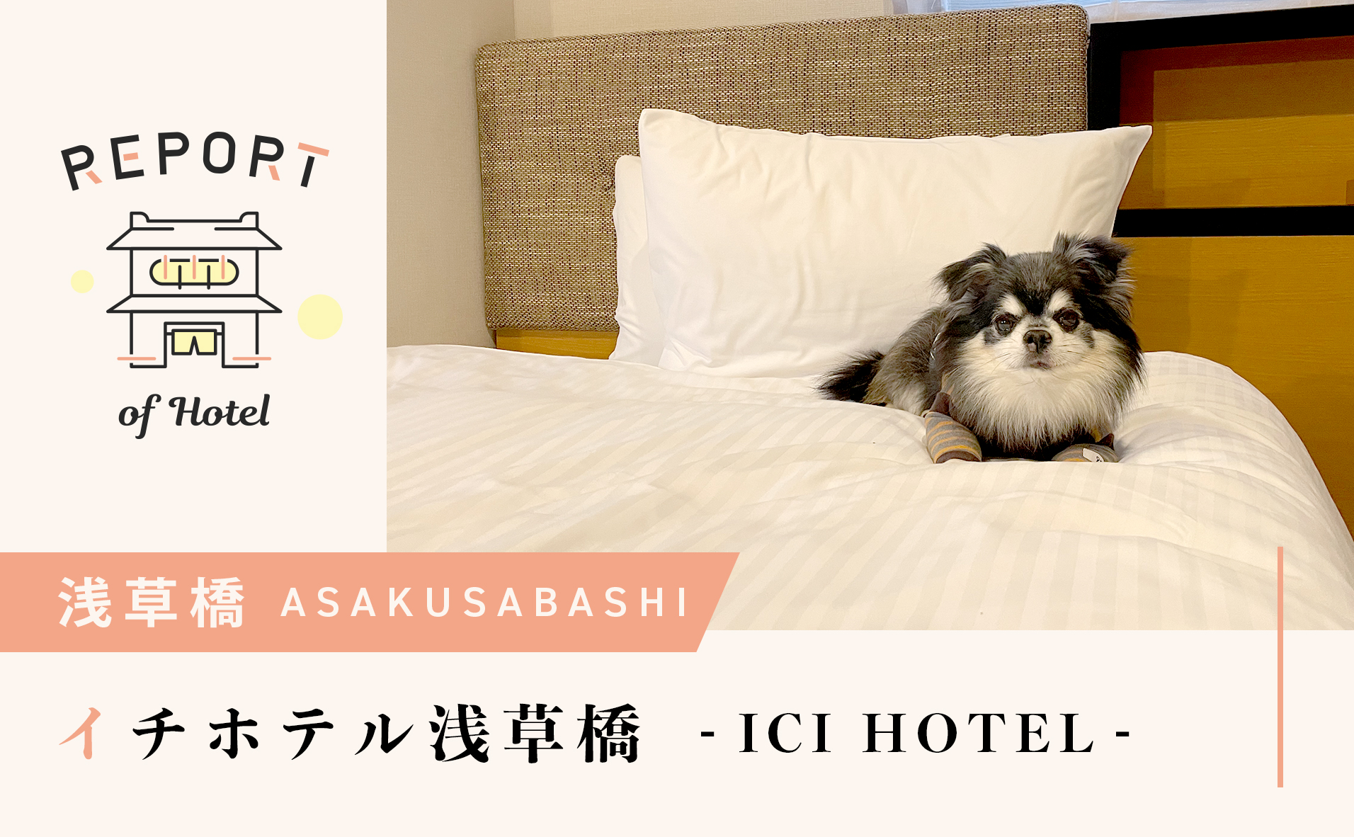 【浅草橋】犬と東京観光に！気軽に泊まれる宿『イチホテル浅草橋』