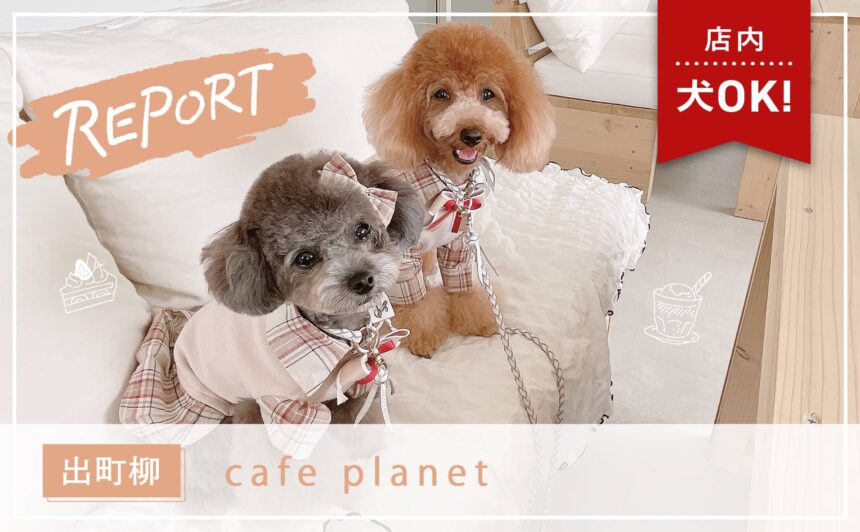 【出町柳】愛犬とヴィーガン&グルテンフリーが楽しめる『cafe planet』