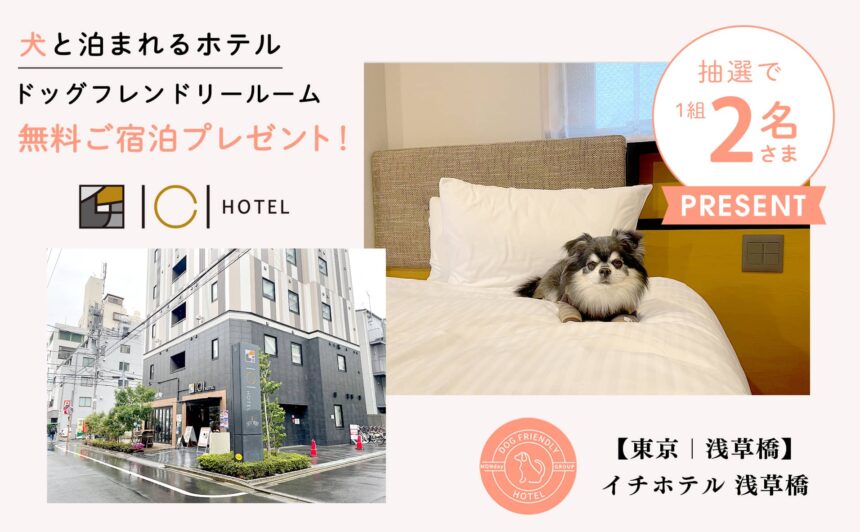 『イチホテル浅草橋』愛犬と宿泊できる”無料ご宿泊”1組2名様へプレゼント！