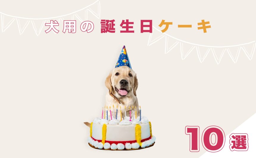 愛犬の誕生日は特別でかわいいケーキを贈りたい！犬用”誕生日ケーキ”10選