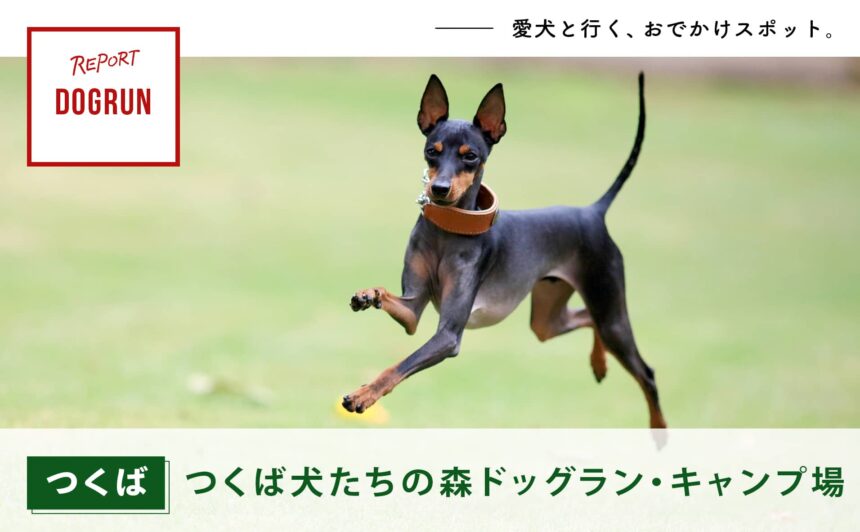 【つくば】茨城県最大級のドッグラン『つくば犬たちの森ドッグラン・キャンプ場』