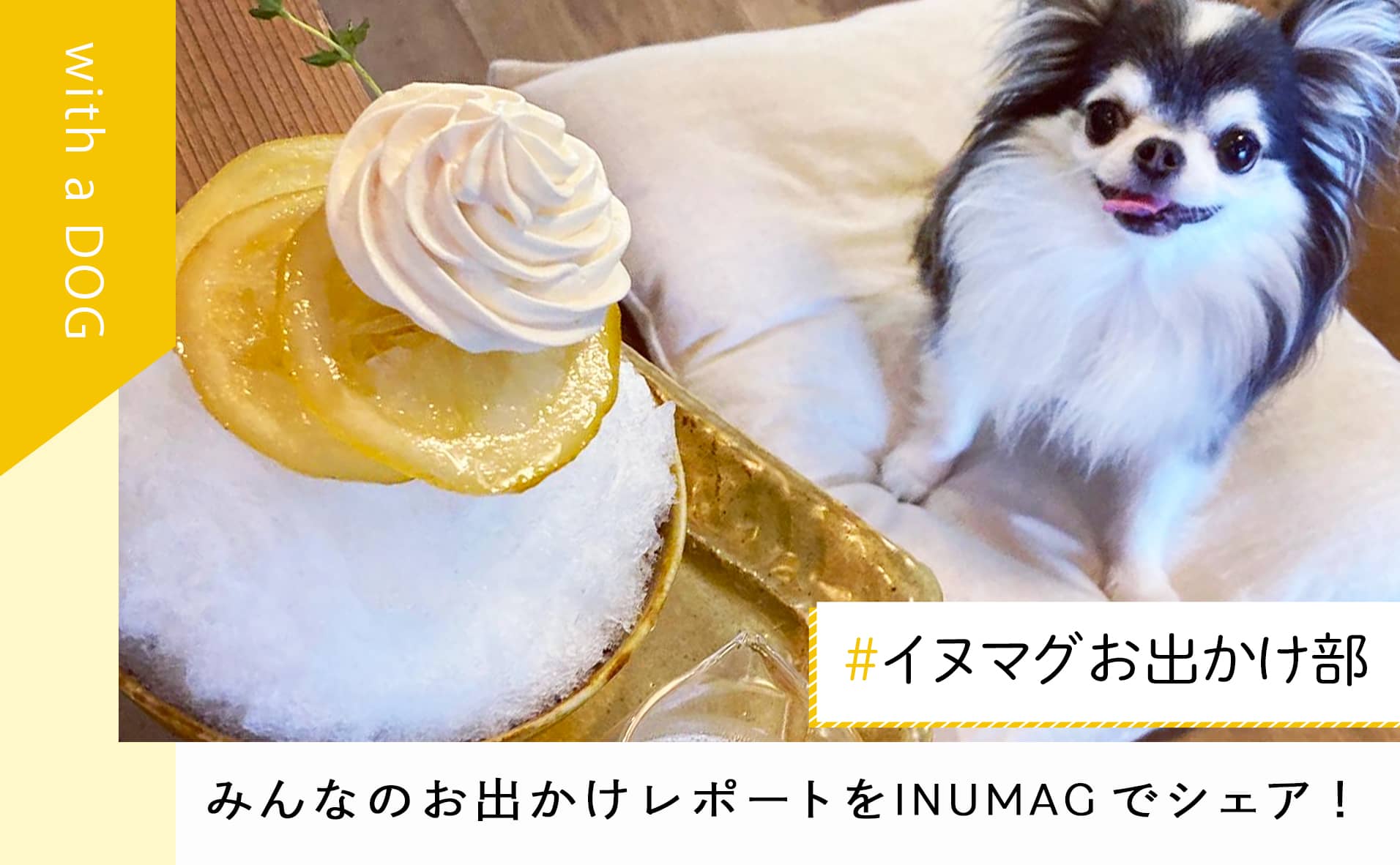 犬と一緒に”かき氷”が食べられるカフェを紹介「#イヌマグお出かけ部」