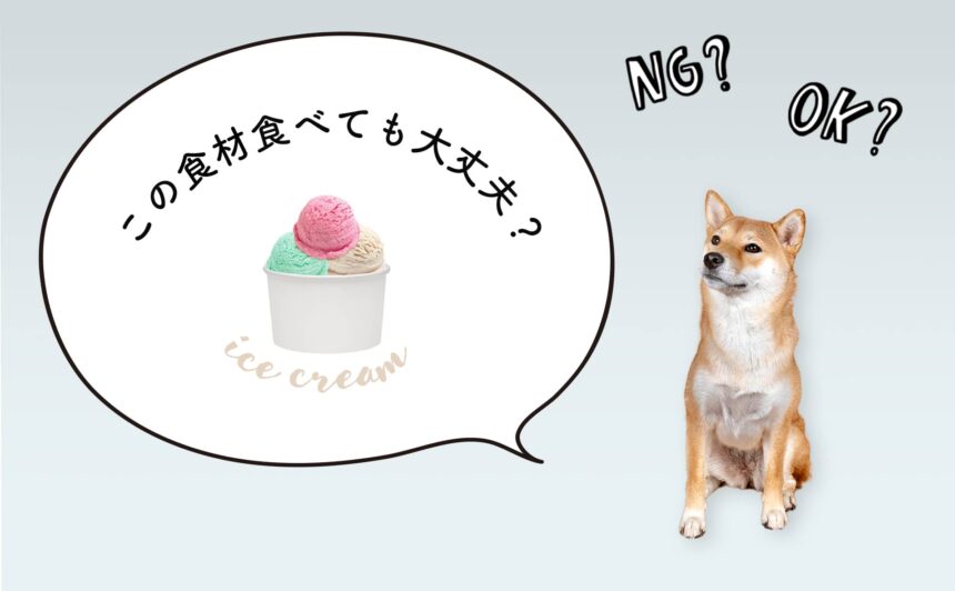 犬がアイスクリームを食べたらダメ！犬の食事をペットフーディストが解説
