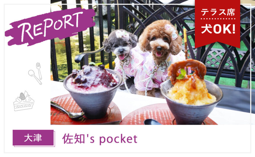 【大津】犬OK！お寺の境内にある本格料理のカフェ『佐知’s pocket』