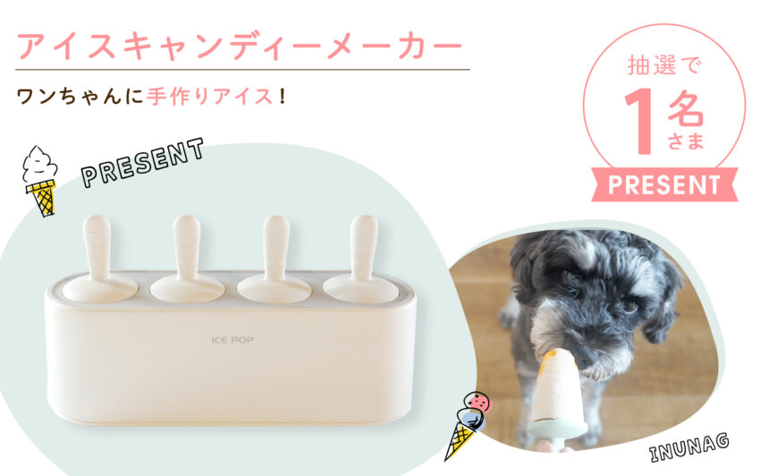 愛犬にアイスが簡単に手作りできる ”アイスキャンディーメーカー”プレゼント！