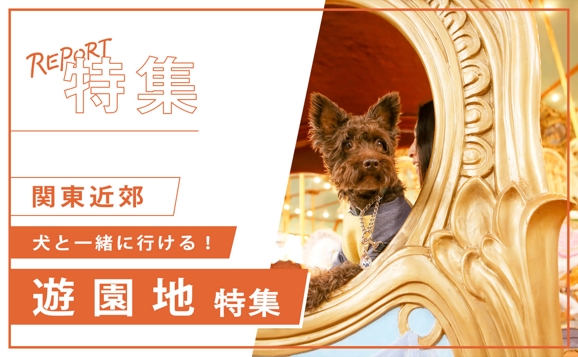 【関東近郊】犬も人も楽しめるドッグフレンドリーな遊園地おすすめ5選