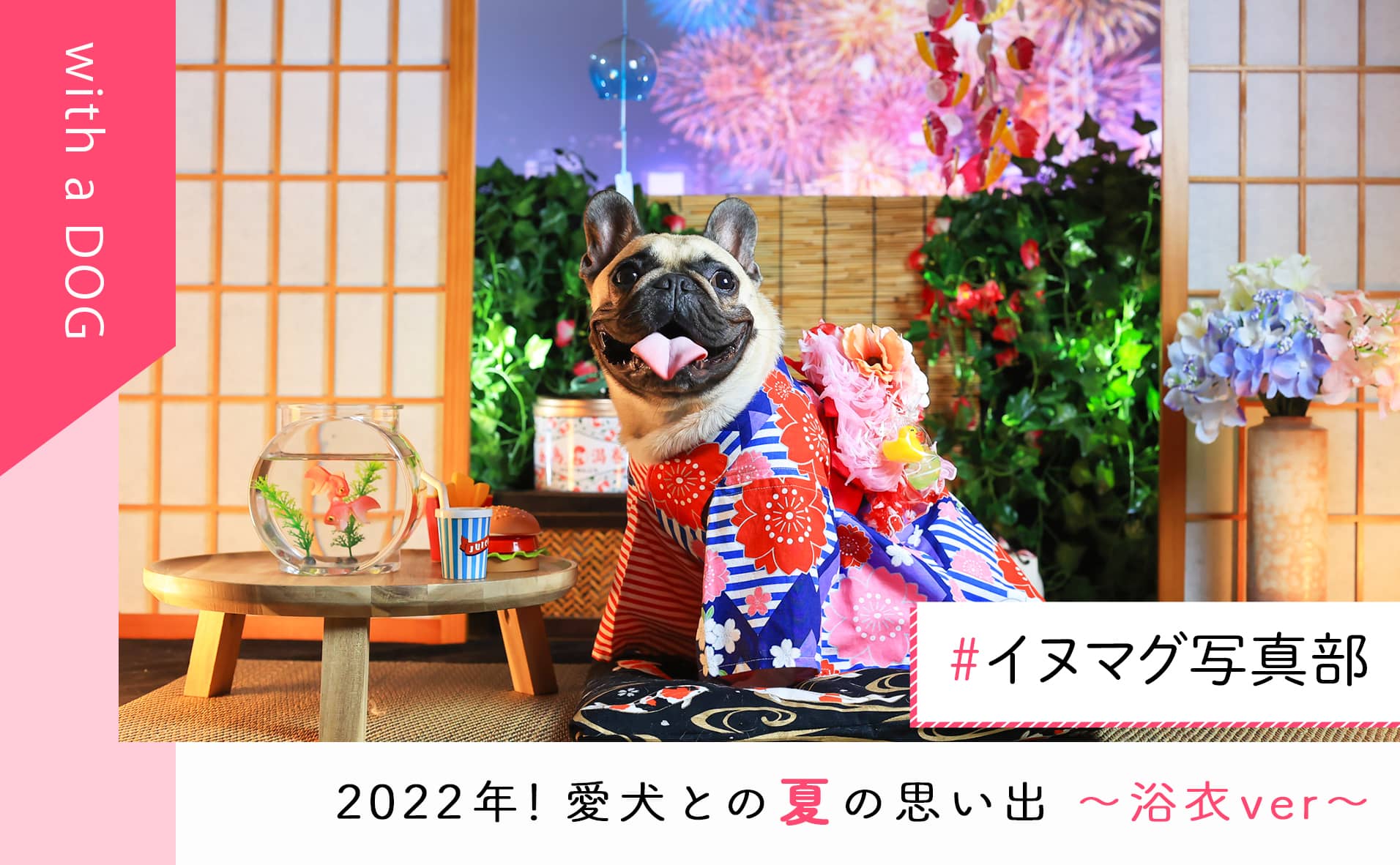 愛犬との思い出をシェア！「#イヌマグ写真部」2022年夏〜浴衣ver〜