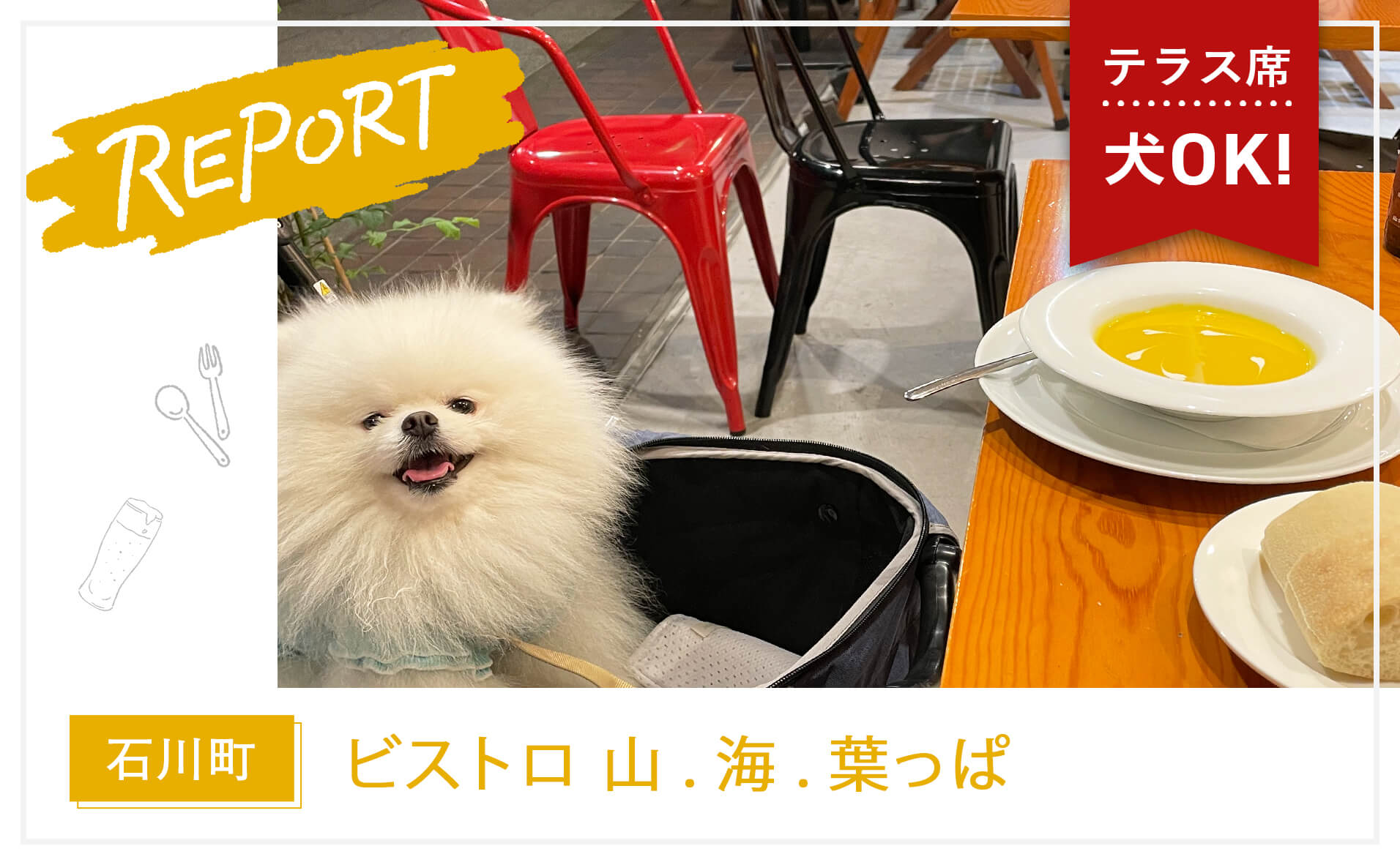 【石川町】愛犬と本格フレンチから多国籍料理まで『ビストロ 山. 海. 葉っぱ』
