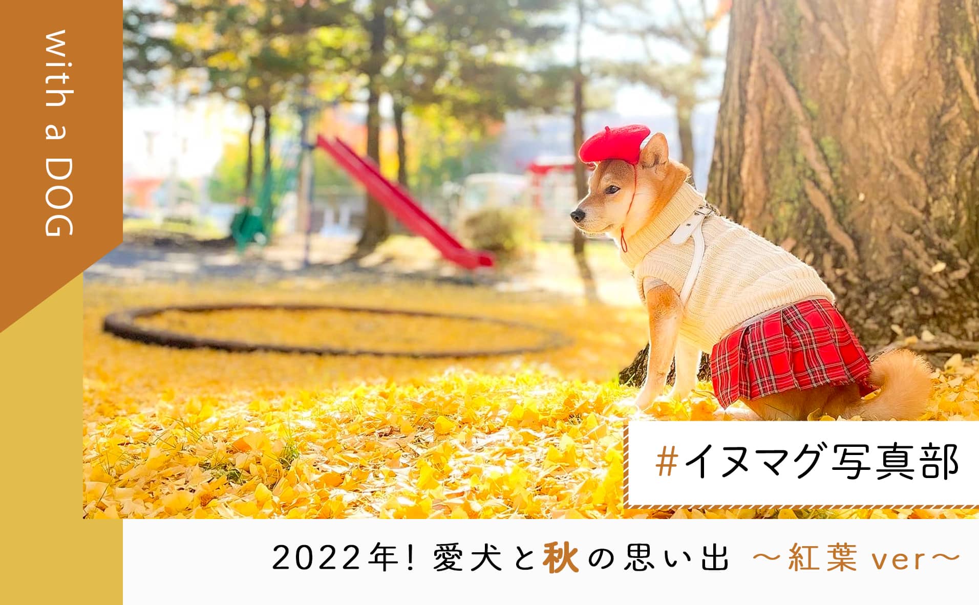 愛犬と紅葉写真をシェア！「#イヌマグ写真部」2022年秋 〜紅葉ver〜