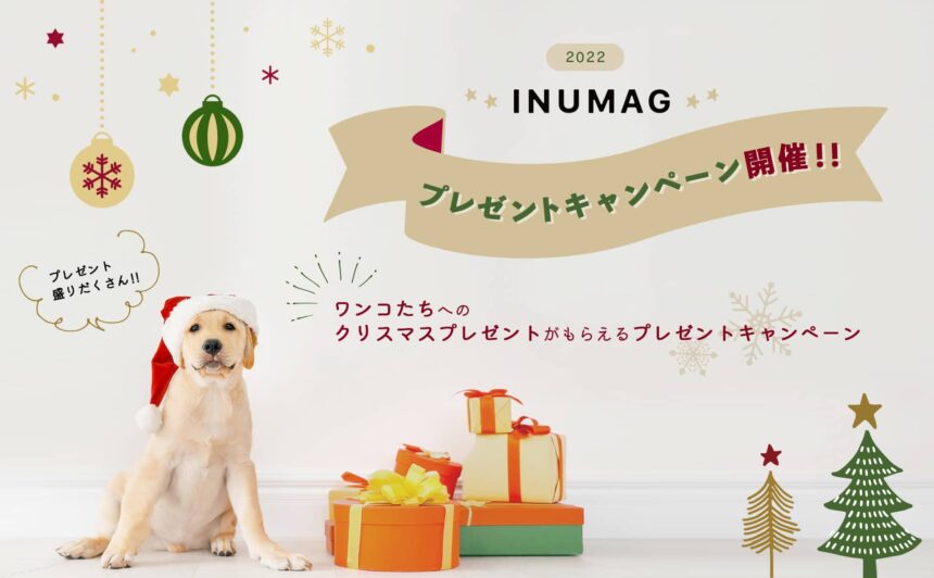 〜INUMAGクリスマス2022〜 12月クリスマスプレゼントキャンペーン開催‼︎