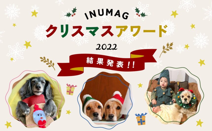 第2回『INUMAGクリスマスアワード2022』結果発表!!