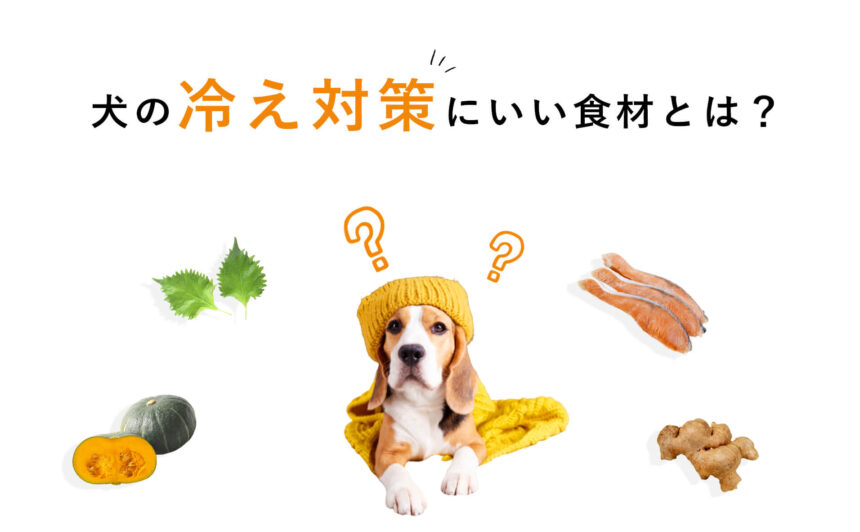 犬の体の冷え対策におすすめの食材とは？寒い季節に取るといい栄養素をご紹介