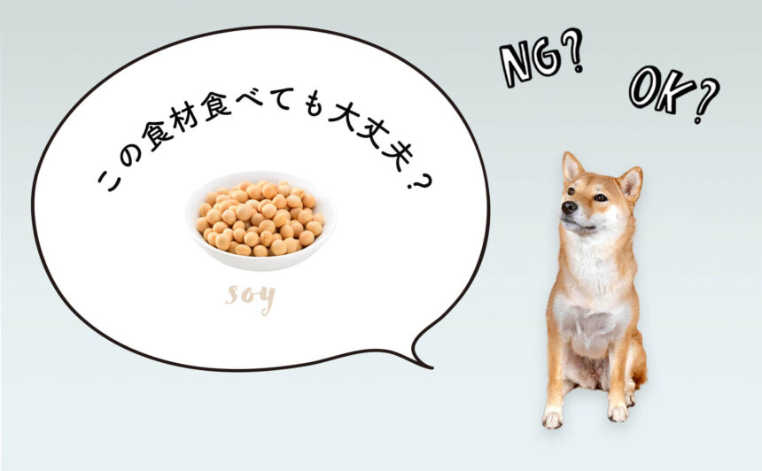 犬は大豆を食べても大丈夫！もっと知りたい犬の食事をペットフーディストが解説